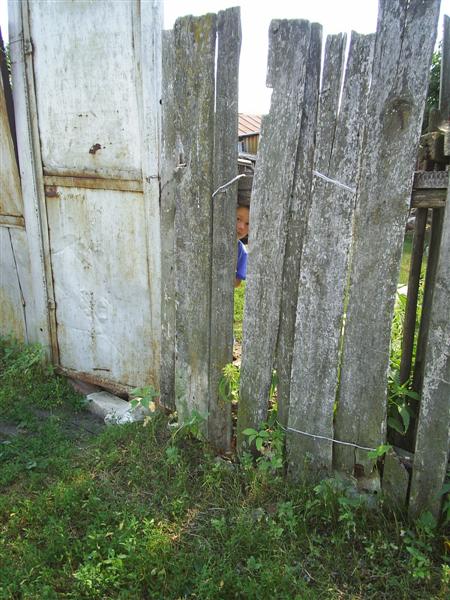 eco023.JPG