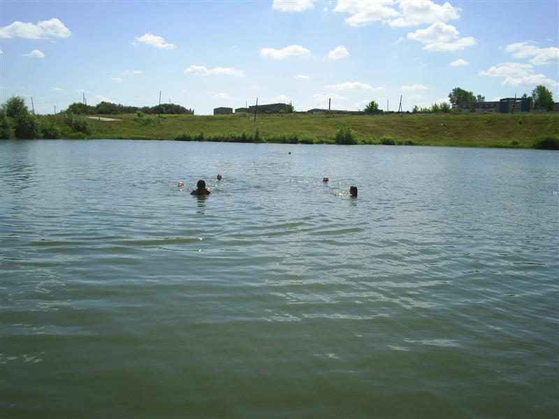 eco040.JPG