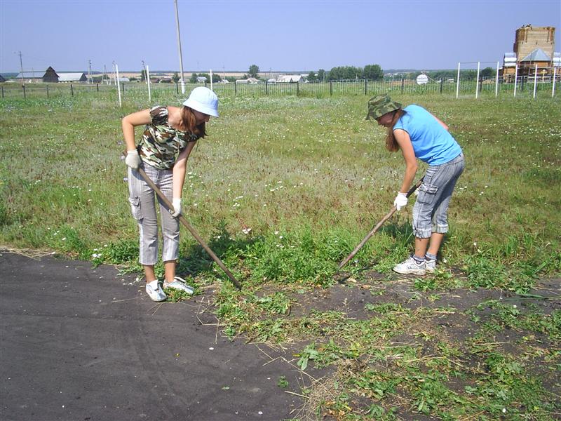 eco082.JPG
