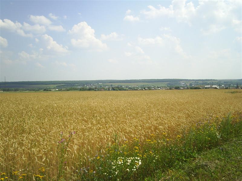 eco124.JPG