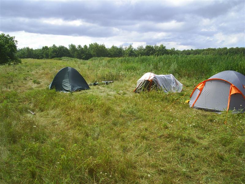 eco230.JPG