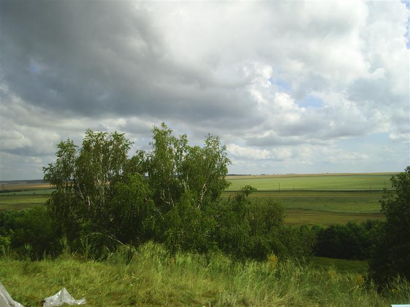 eco231.JPG