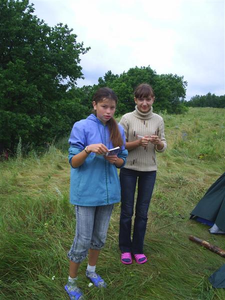 eco295.JPG