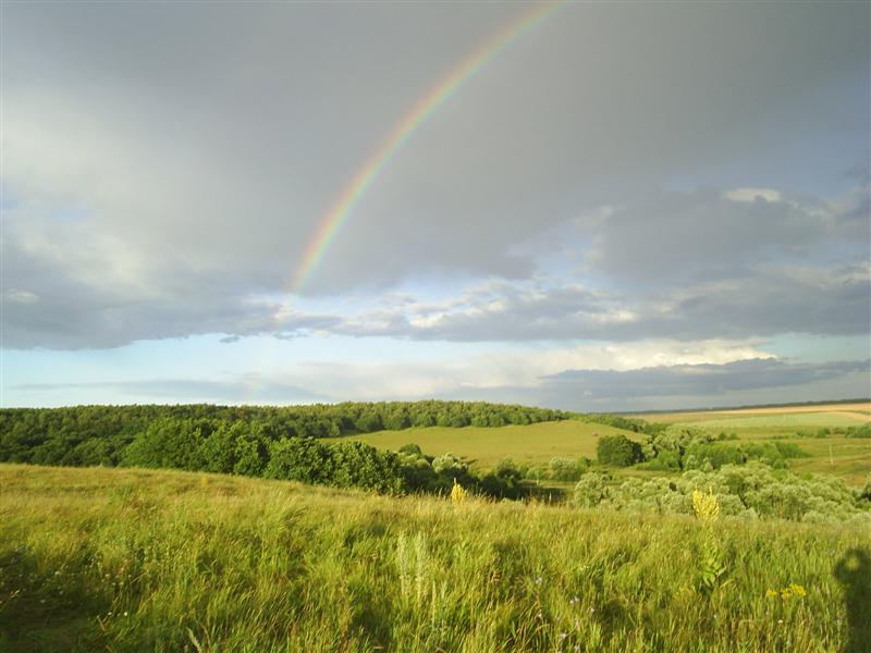 eco327.JPG