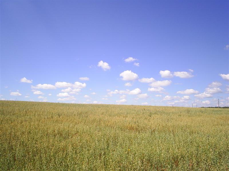 eco375.JPG