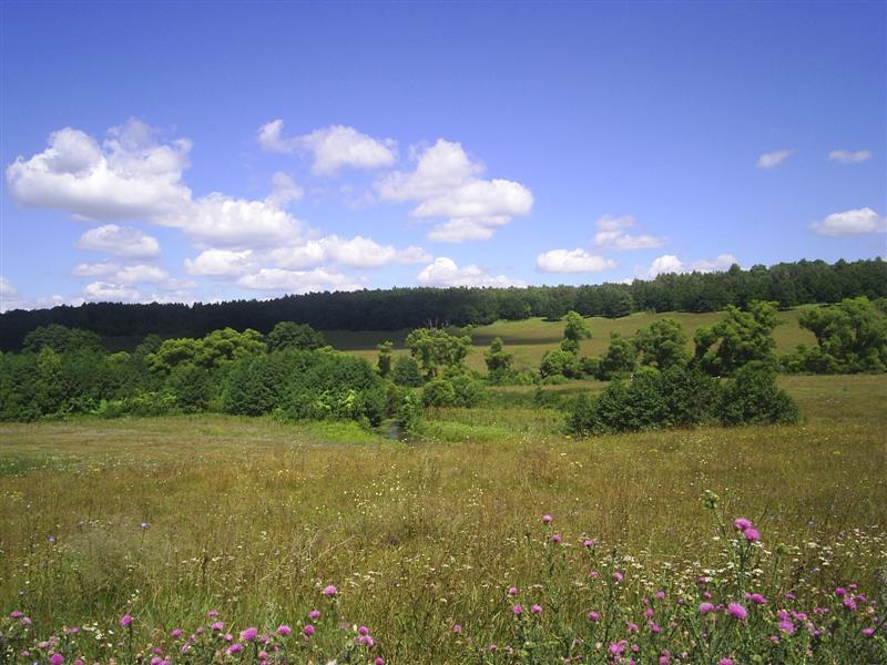 eco376.JPG