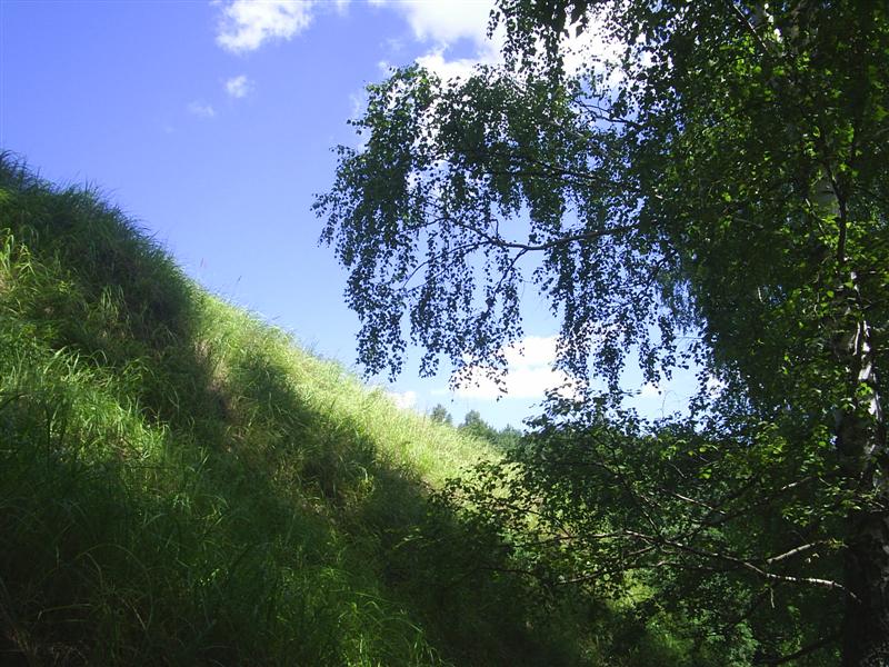 eco381.JPG