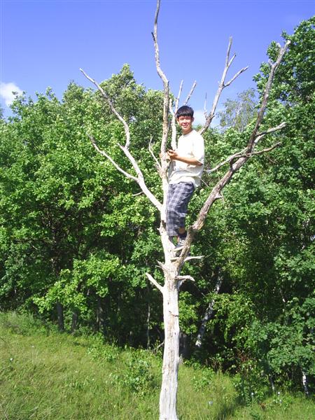 eco416.JPG