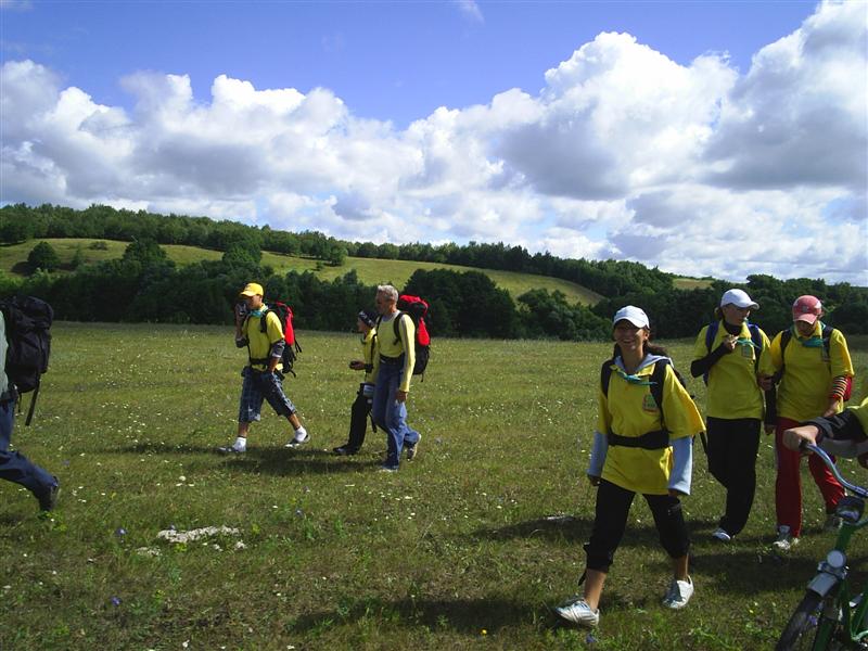 eco453.JPG