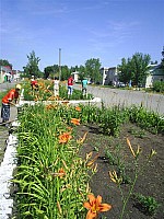 eco011.JPG