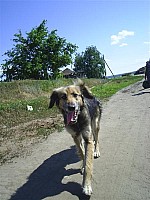 eco020.JPG