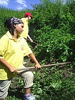 eco031.JPG