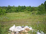 eco103.JPG