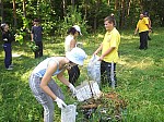 eco108.JPG