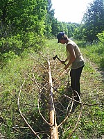 eco110.JPG