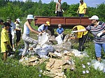 eco117.JPG