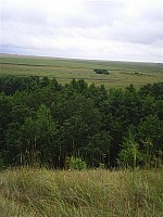 eco296.JPG