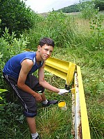 eco311.JPG