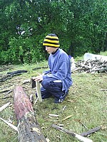 eco317.JPG