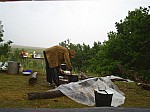 eco359.JPG