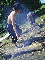 eco368.JPG