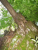 eco434.JPG