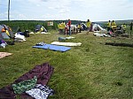 eco443.JPG
