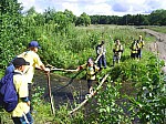 eco450.JPG